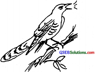 GSEB Solutions Class 6 Sanskrit Chapter 4 प्रहेलिकाः 2