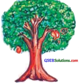 GSEB Solutions Class 6 Sanskrit Chapter 4 प्रहेलिकाः 6