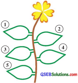 GSEB Solutions Class 7 Hindi Chapter 1 बेटी 1