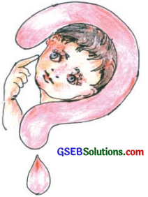 GSEB Solutions Class 7 Hindi Chapter 10 अंदाज अपना-अपना 2