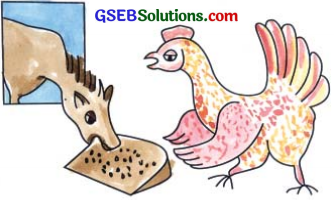 GSEB Solutions Class 7 Hindi Chapter 7 बढ़े कहानी 2