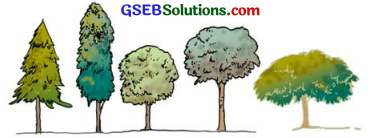 GSEB Solutions Class 7 Science Chapter 17 જંગલો આપણી જીવાદોરી 1