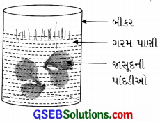 GSEB Solutions Class 7 Science Chapter 5 ઍસિડ, બેઇઝ અને ક્ષાર 8