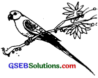 GSEB Solutions Class 8 Sanskrit Chapter 1 चित्रपदानि – 1 1