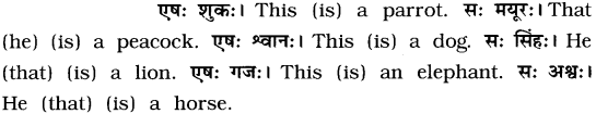 GSEB Solutions Class 8 Sanskrit Chapter 1 चित्रपदानि – 1 14