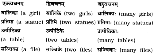 GSEB Solutions Class 8 Sanskrit Chapter 1 चित्रपदानि – 1 19
