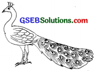 GSEB Solutions Class 8 Sanskrit Chapter 1 चित्रपदानि – 1 7