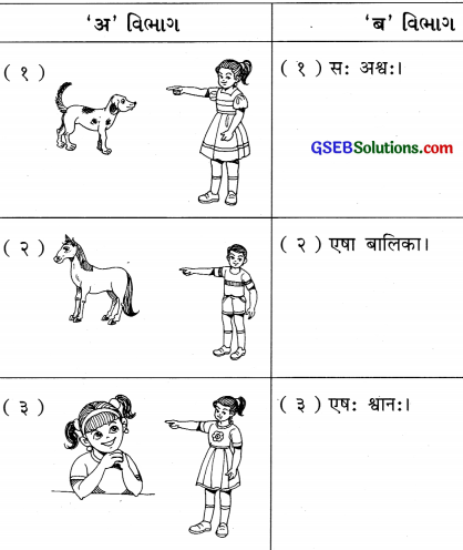 GSEB Solutions Class 8 Sanskrit Chapter 1 चित्रपदानि – 1 8
