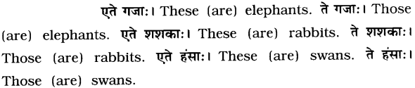 GSEB Solutions Class 8 Sanskrit Chapter 2 चित्रपदानि – 2 14