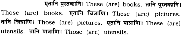 GSEB Solutions Class 8 Sanskrit Chapter 2 चित्रपदानि – 2 17