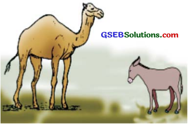 GSEB Solutions Class 8 Sanskrit Chapter 6 विनोदपद्यानि 18