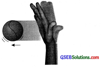 GSEB Solutions Class 8 Science Chapter 11 બળ અને દબાણ 4