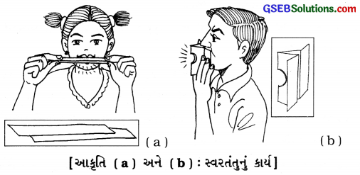 GSEB Solutions Class 8 Science Chapter 13 ધ્વનિ 16