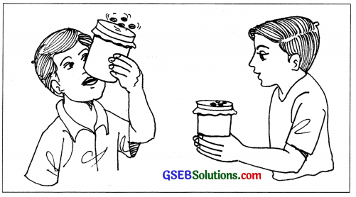 GSEB Solutions Class 8 Science Chapter 13 ધ્વનિ 22
