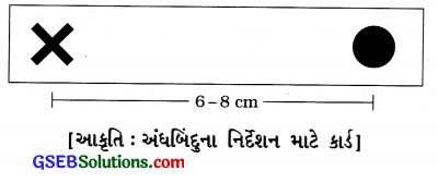 GSEB Solutions Class 8 Science Chapter 16 પ્રકાશ 18