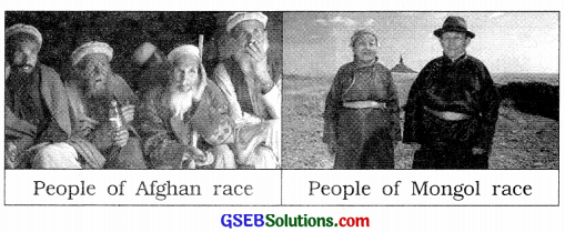 GSEB Solutions Class 8 Social Science Chapter 14 Introduction of the Continents Africa and Asia 5