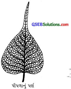 GSEB Class 6 Science Important Questions Chapter 7 વનસ્પતિની જાણકારી મેળવીએ 8
