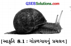 GSEB Class 6 Science Important Questions Chapter 8 શરીરનું હલનચલન 1
