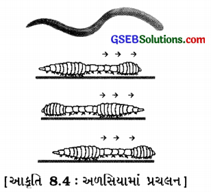 GSEB Class 6 Science Important Questions Chapter 8 શરીરનું હલનચલન 6