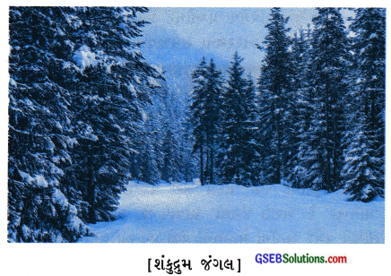 GSEB Class 7 Social Science Important Questions Chapter 12 વાતાવરણની સજીવો પર અસરો 3