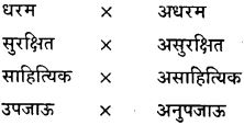 GSEB Class 9 Hindi Vyakaran हिन्दी शब्द संपदा (1st Language) 25