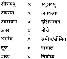 GSEB Class 9 Hindi Vyakaran हिन्दी शब्द संपदा (1st Language) 28