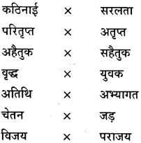GSEB Class 9 Hindi Vyakaran हिन्दी शब्द संपदा (1st Language) 29