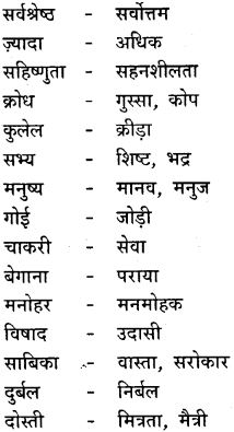 GSEB Class 9 Hindi Vyakaran हिन्दी शब्द संपदा (1st Language) 35
