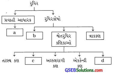 GSEB Class 9 Science Important Questions Chapter 6 પેશીઓ 28