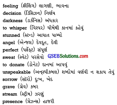 GSEB Solutions Class 10 English Supplementary Chapter 17 For Your Eyes Only 2