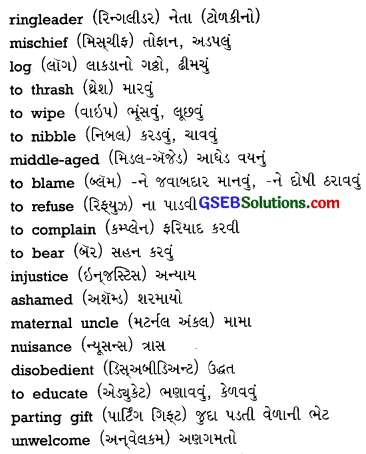 GSEB Solutions Class 10 English Supplementary Chapter 21 Home Coming 1