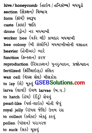 GSEB Solutions Class 10 English Supplementary Chapter 9 Wonderful Workers 1