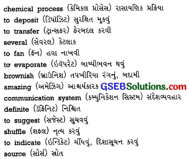 GSEB Solutions Class 10 English Supplementary Chapter 9 Wonderful Workers 3