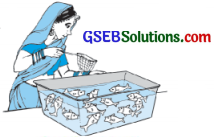 GSEB Solutions Class 10 Maths Chapter 15 સંભાવના Ex 15.1 1