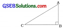 GSEB Solutions Class 10 Maths Chapter 6 ત્રિકોણ Ex 6.6 13