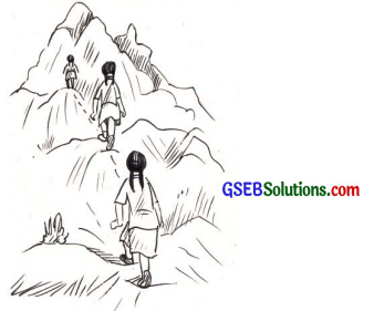 GSEB Solutions Class 6 Maths Chapter 11 બીજગણિત Ex 11.4 1