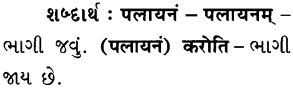 GSEB Solutions Class 6 Sanskrit Chapter 2 आकाशः पतति 13