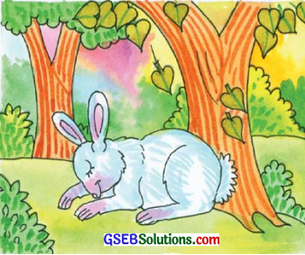 GSEB Solutions Class 6 Sanskrit Chapter 2 आकाशः पतति 14