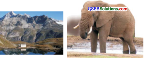 GSEB Solutions Class 6 Sanskrit Chapter 5 हस्ती हस्ती हस्ती 9