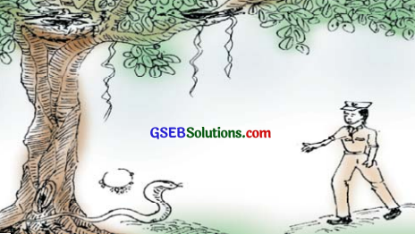GSEB Solutions Class 6 Sanskrit Chapter 8 काकस्य चातुर्यम् 11