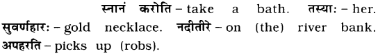 GSEB Solutions Class 6 Sanskrit Chapter 8 काकस्य चातुर्यम् 4