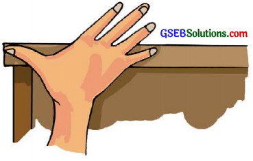 GSEB Solutions Class 6 Science Chapter 10 ગતિ અને અંતરનું માપન 1