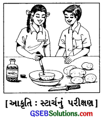 GSEB Solutions Class 6 Science Chapter 2 આહારના ઘટકો 4