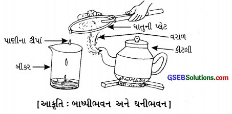 GSEB Solutions Class 6 Science Chapter 5 પદાર્થોનું અલગીકરણ 8