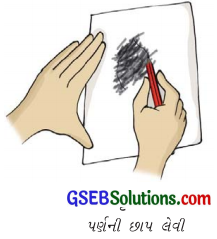GSEB Solutions Class 6 Science Chapter 7 વનસ્પતિની જાણકારી મેળવીએ 5