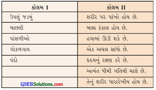 GSEB Solutions Class 6 Science Chapter 8 શરીરનું હલનચલન 1