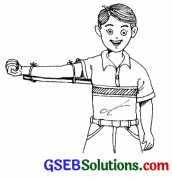 GSEB Solutions Class 6 Science Chapter 8 શરીરનું હલનચલન 2