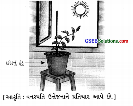 GSEB Solutions Class 6 Science Chapter 9 સજીવો – લક્ષણો અને નિવાસસ્થાન 3