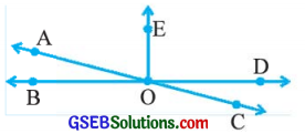 GSEB Solutions Class 7 Maths Chapter 5 રેખા અને ખૂણા Ex 5.1 8