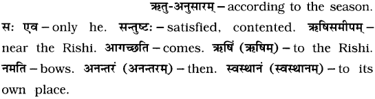 GSEB Solutions Class 7 Sanskrit Chapter 3 कोऽरुक् 10